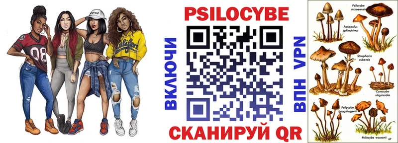 Галлюциногенные грибы Psilocybe  мориарти Telegram  Власиха 